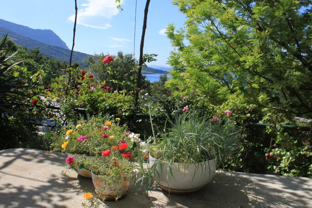Apartments And Rooms With Parking Space Tucepi, Makarska - 6901 외부 사진